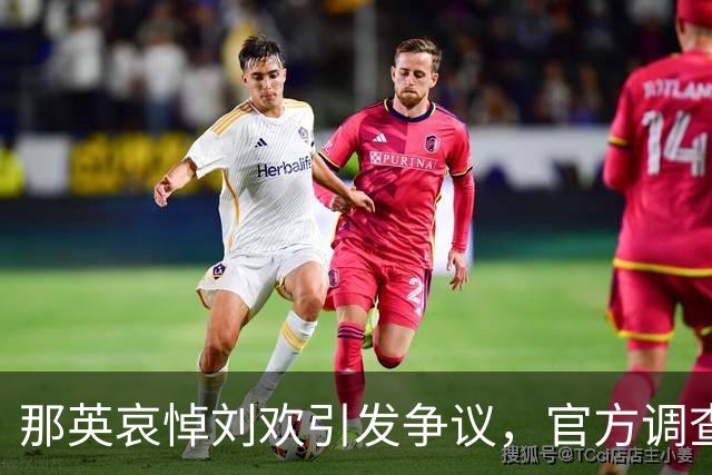 那英哀悼刘欢引发争议，官方调查结果让事态逆转